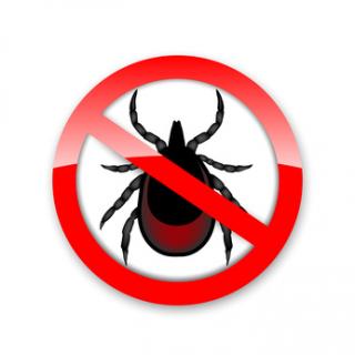 Allergie : Débarrassez-vous des acariens